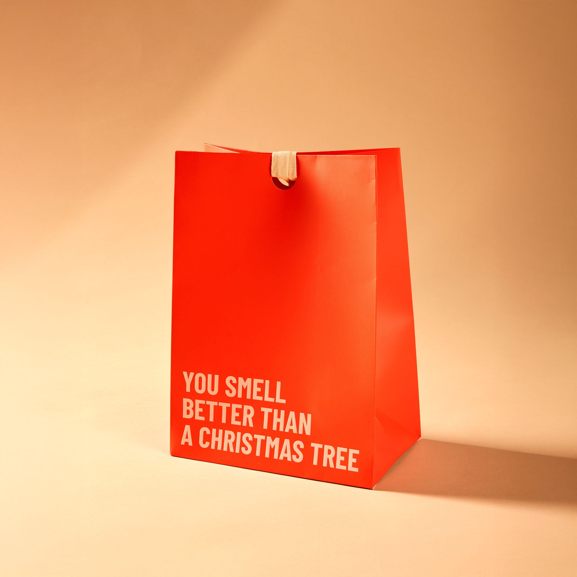 WONDR Giftbag Large image 1