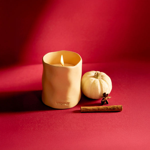 Cozy Spice Candle kit