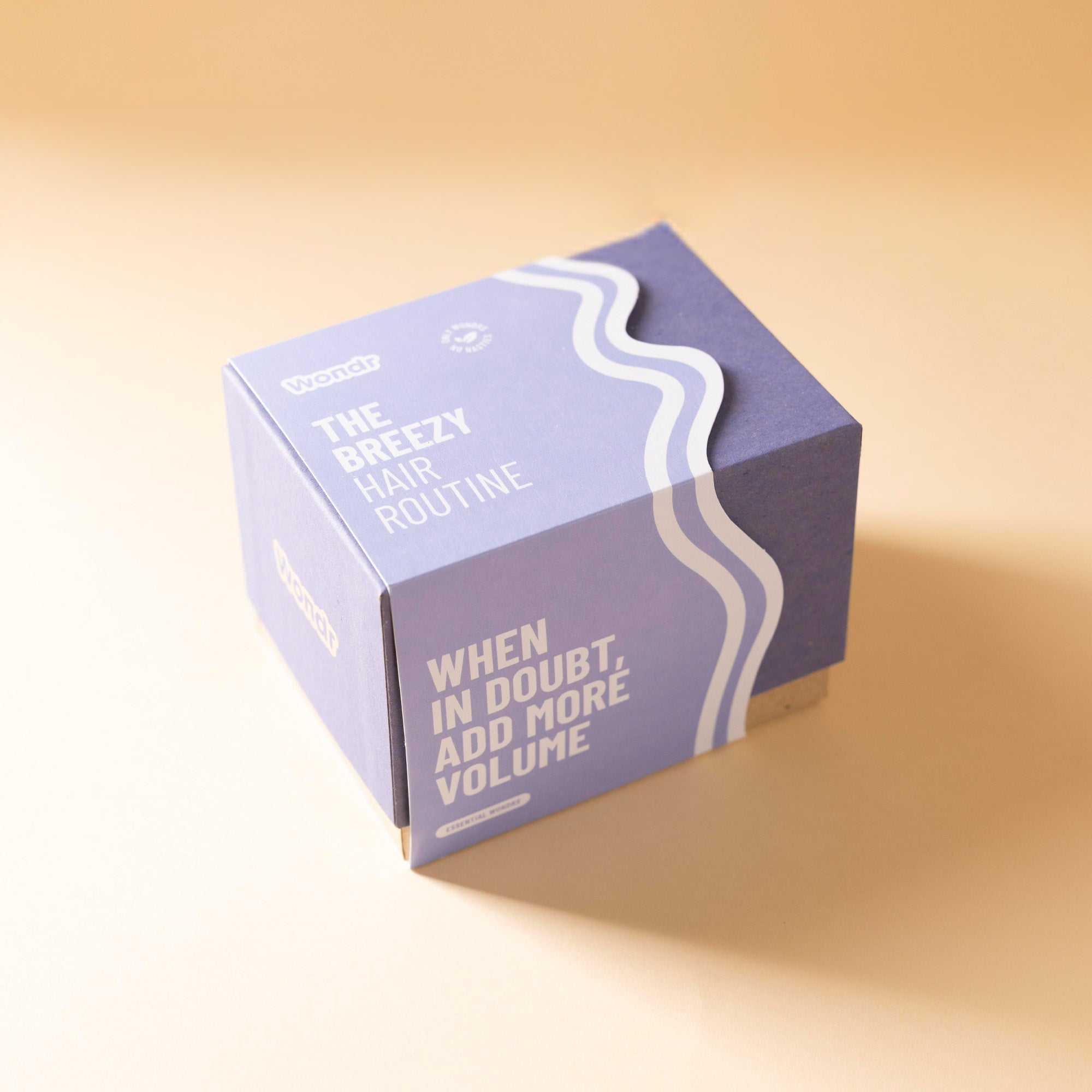 The Breezy Hair Routine | Wondr Gift image 1