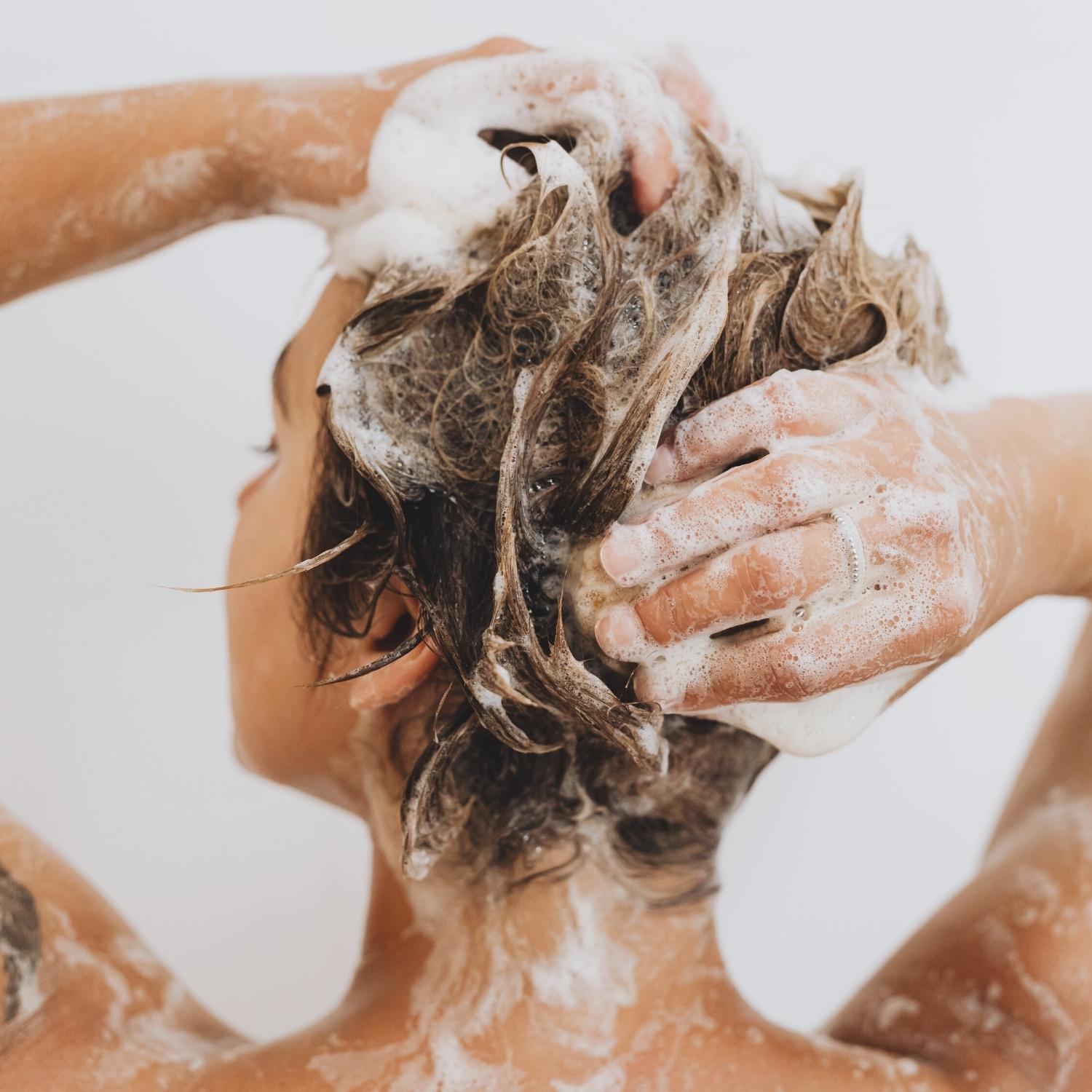 REFRESHING CACTUS | Shampoo Bar image 2